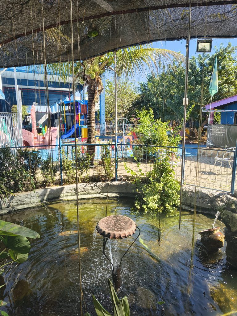 IMG_20260717_122343538_HDR